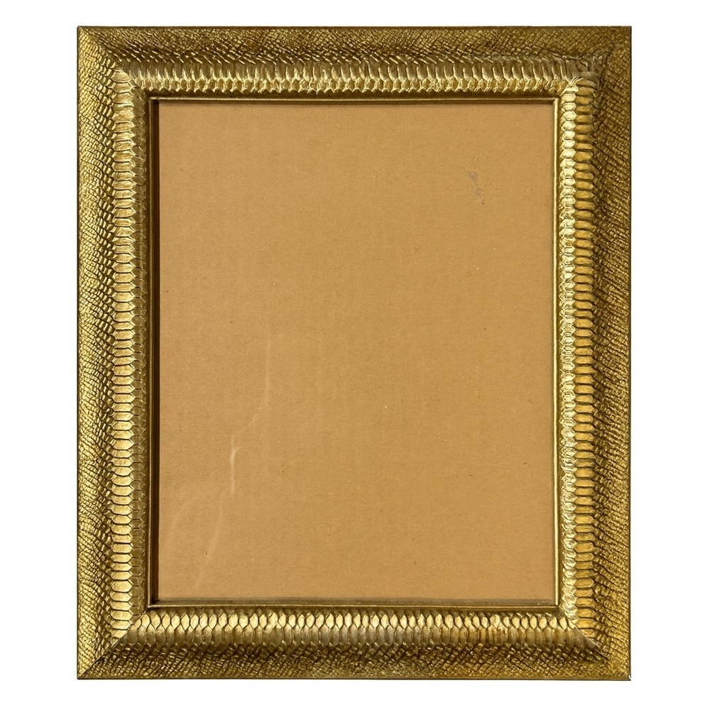Parisian Homes Large Ornate Gold Snakeskin Frame